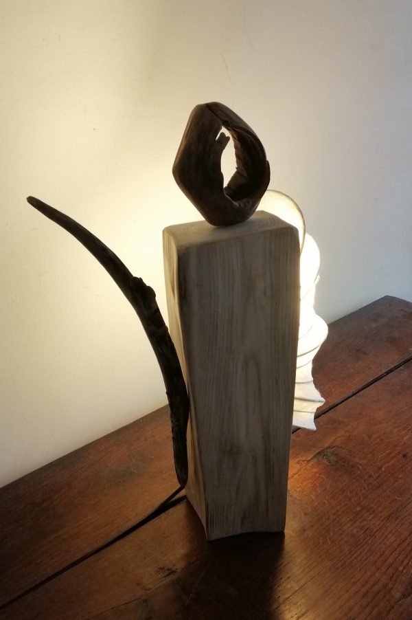 KODAMA 木霊の灯       (le cœur de la nature) – Image 5