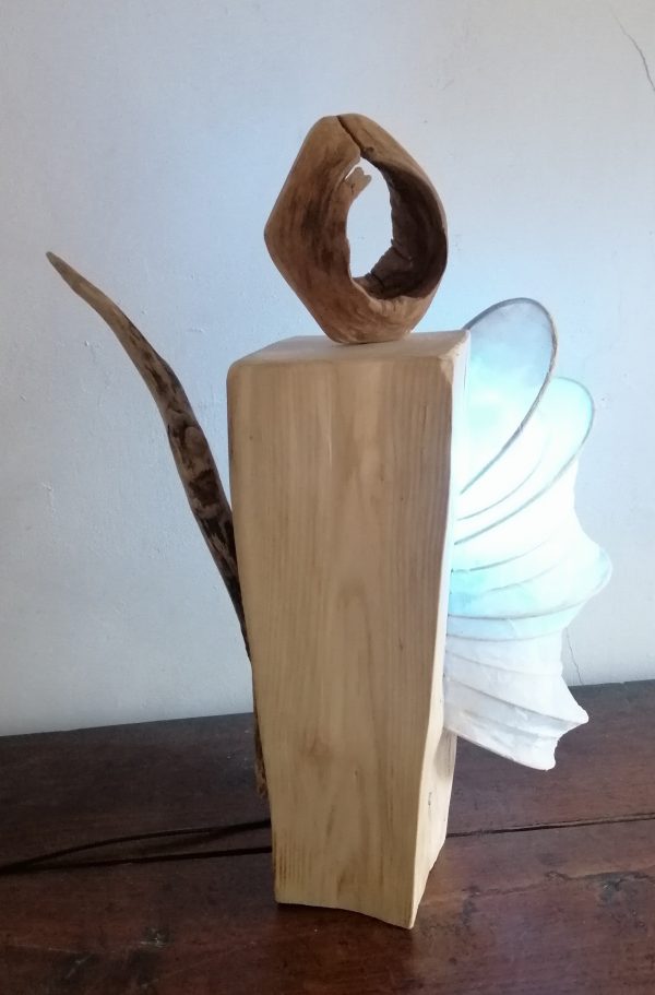 KODAMA 木霊の灯       (le cœur de la nature) – Image 2