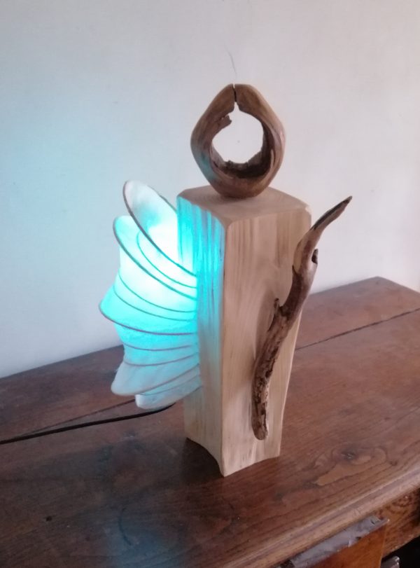 KODAMA 木霊の灯       (le cœur de la nature) – Image 4
