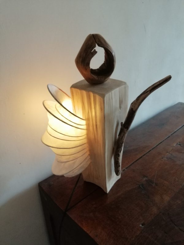 KODAMA 木霊の灯       (le cœur de la nature)