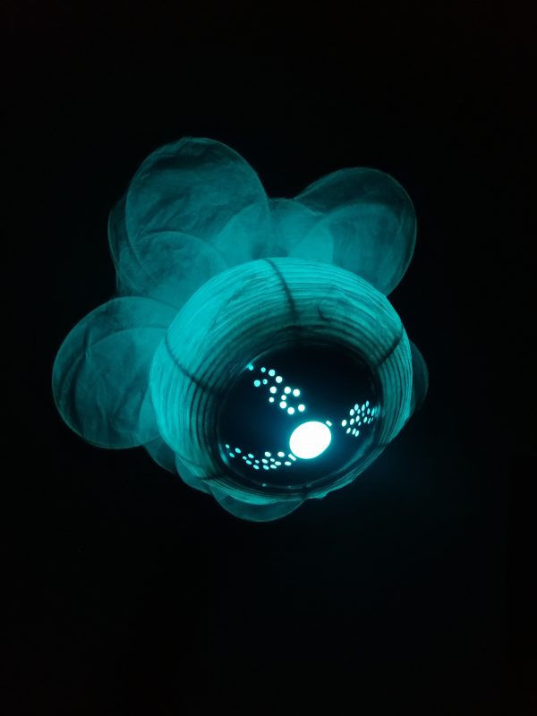 大きな花 ōkina hana, grande fleur – Image 10