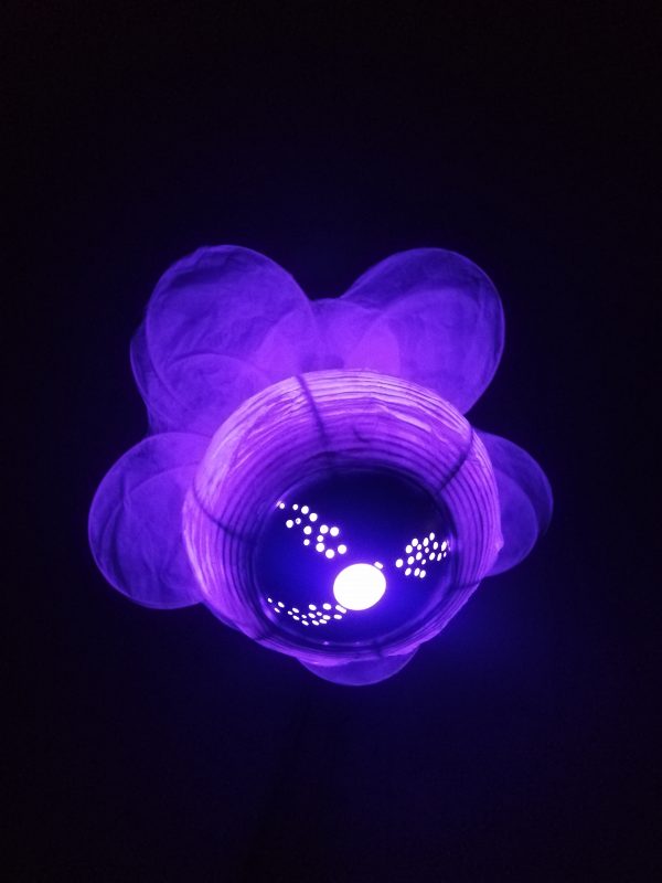 大きな花 ōkina hana, grande fleur – Image 8