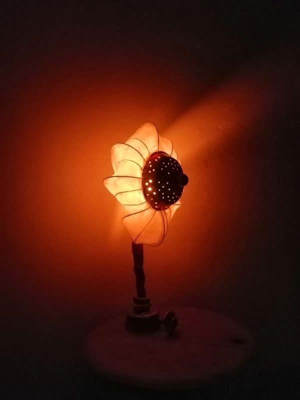 fleur de bambou 笹の花 sasa no hana