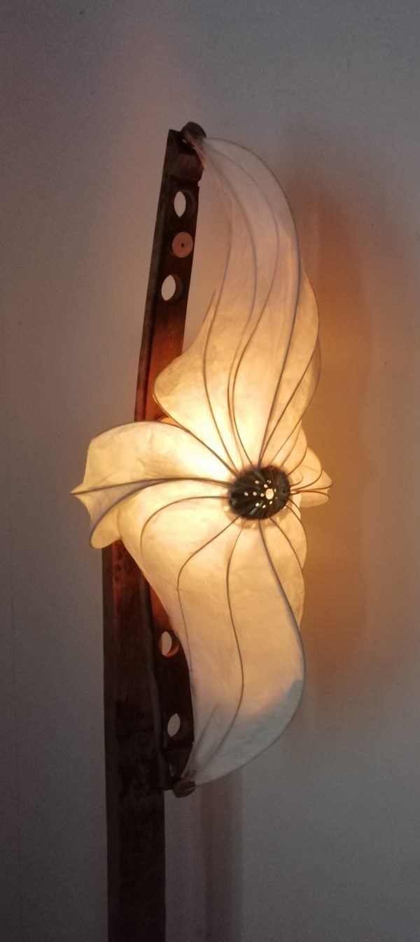 Hana Uo 花魚 (poisson fleur) – Image 7
