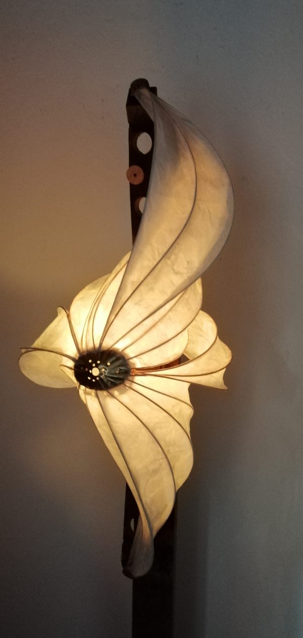 Hana Uo 花魚 (poisson fleur)