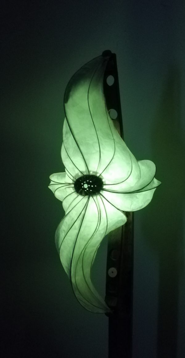 Hana Uo 花魚 (poisson fleur) – Image 3