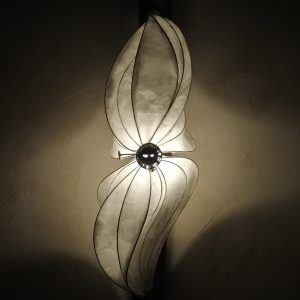 No Yume Rêve de papillon 蝶の夢