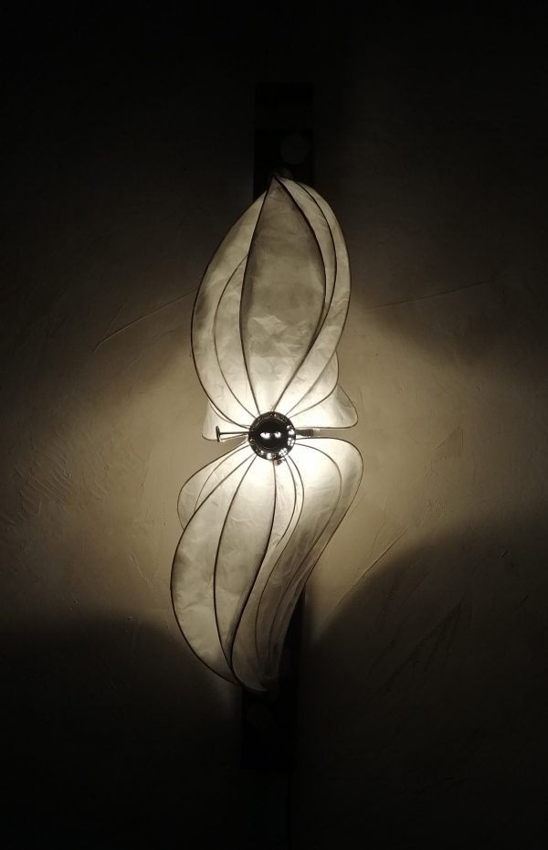 No Yume Rêve de papillon 蝶の夢