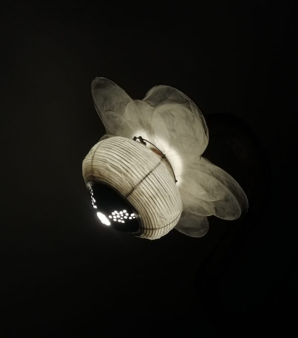 大きな花 ōkina hana, grande fleur – Image 4