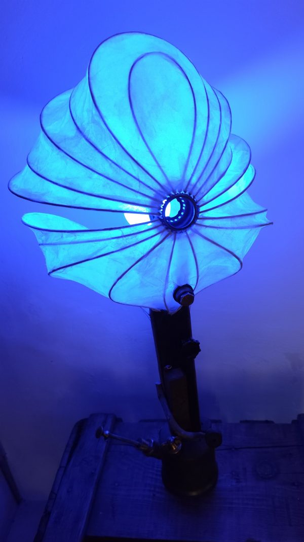 蓮華 renge, fleur de lotus – Image 3