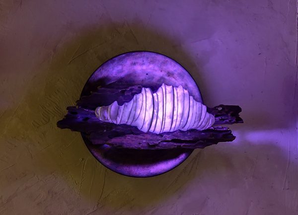 clairière 森の奥の空き地 – Image 6
