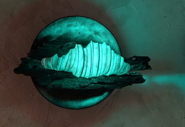 clairière 森の奥の空き地 – Image 2