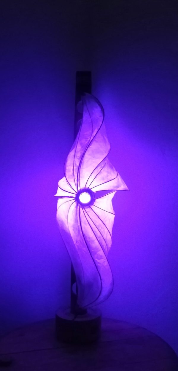 星 Hoshi étoile – Image 3