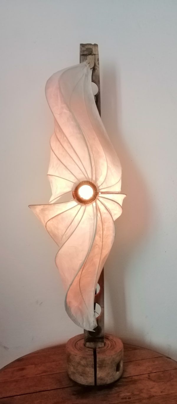 星 Hoshi étoile – Image 6