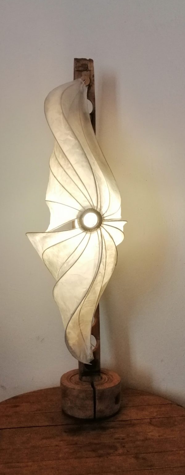 星 Hoshi étoile – Image 5
