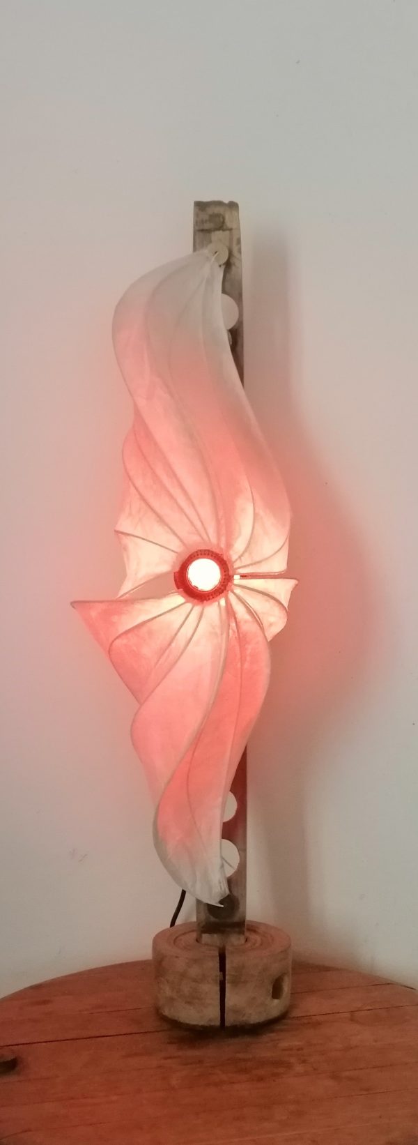 星 Hoshi étoile – Image 7