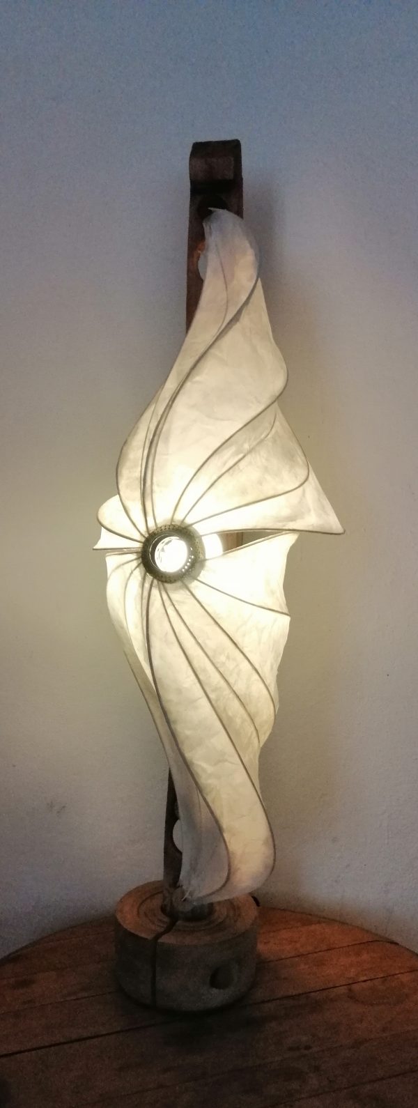 星 Hoshi étoile – Image 8