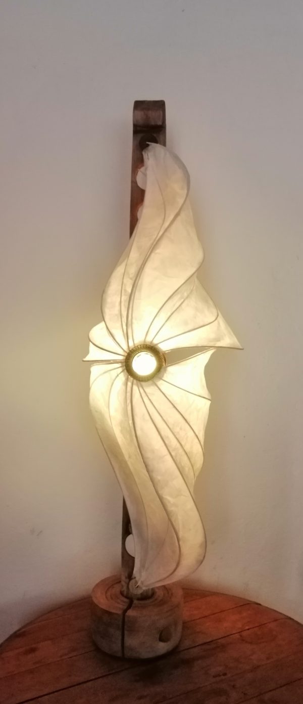 星 Hoshi étoile