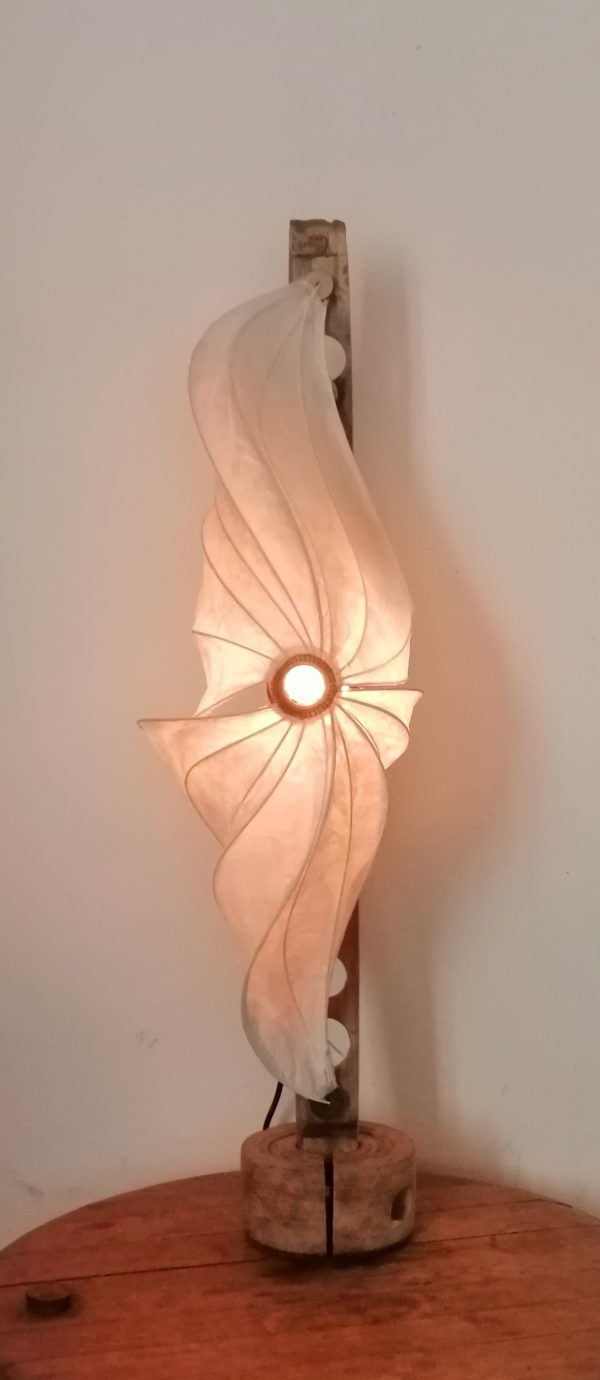 星 Hoshi étoile – Image 2